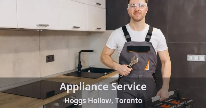 Appliance Service Hoggs Hollow, Toronto - ON