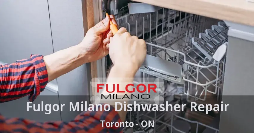 Fulgor Milano Dishwasher Repair Toronto - ON
