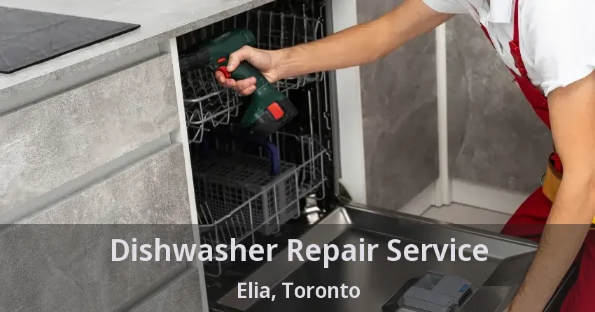 Dishwasher Repair Service Elia, Toronto - ON