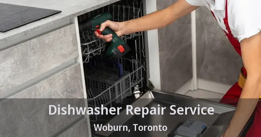 Dishwasher Repair Service Woburn, Toronto - ON