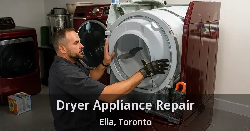 Dryer Appliance Repair Elia, Toronto - ON