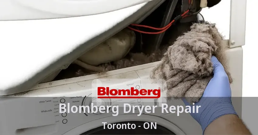 Blomberg Dryer Repair Toronto - ON