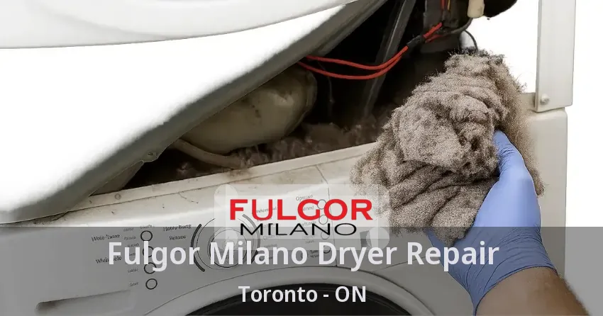 Fulgor Milano Dryer Repair Toronto - ON