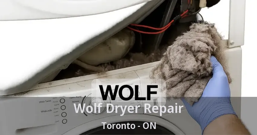 Wolf Dryer Repair Toronto - ON