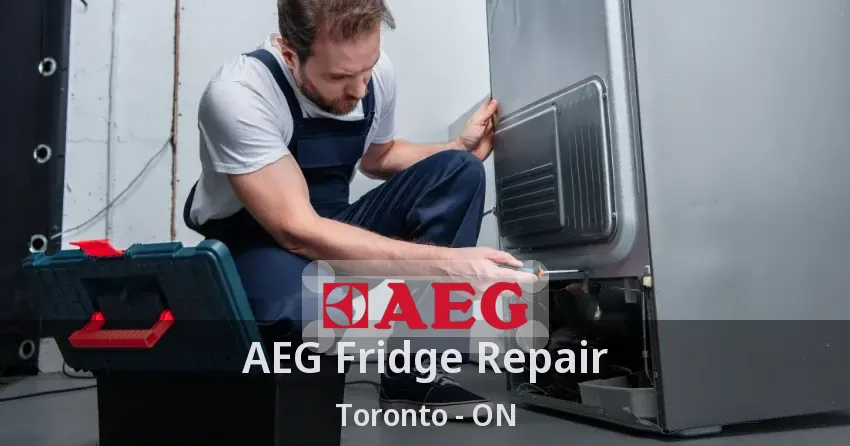 AEG Fridge Repair Toronto - ON