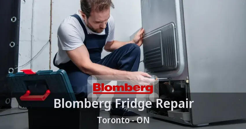 Blomberg Fridge Repair Toronto - ON