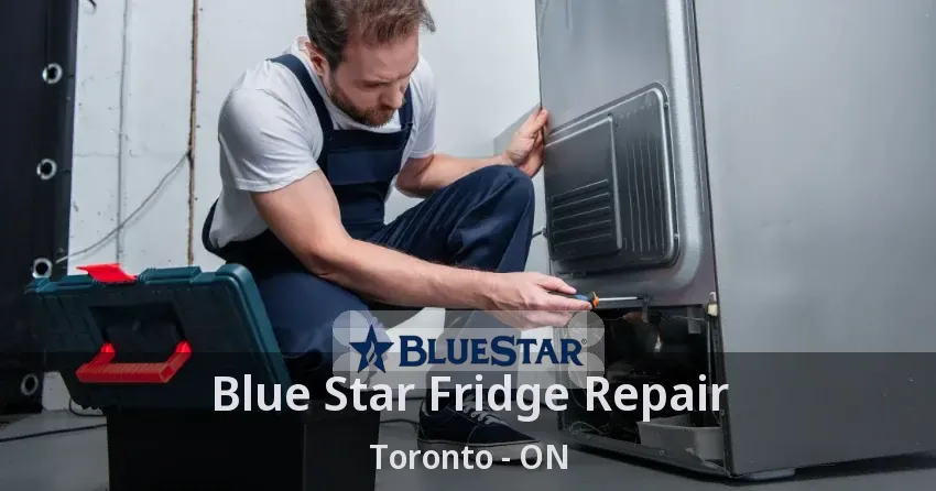 Blue Star Fridge Repair Toronto - ON