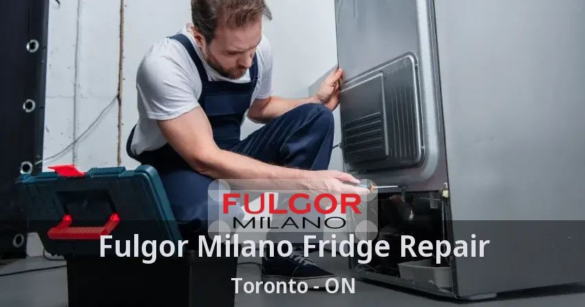 Fulgor Milano Fridge Repair Toronto - ON