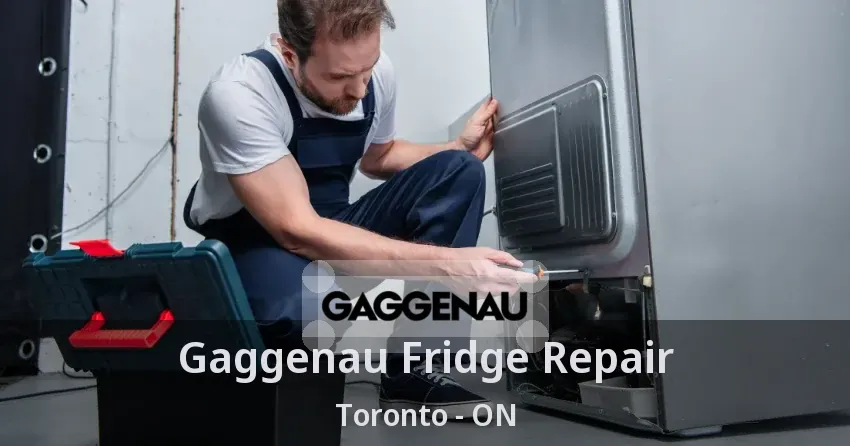 Gaggenau Fridge Repair Toronto - ON