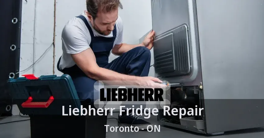 Liebherr Fridge Repair Toronto - ON