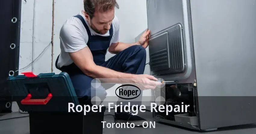 Roper Fridge Repair Toronto - ON