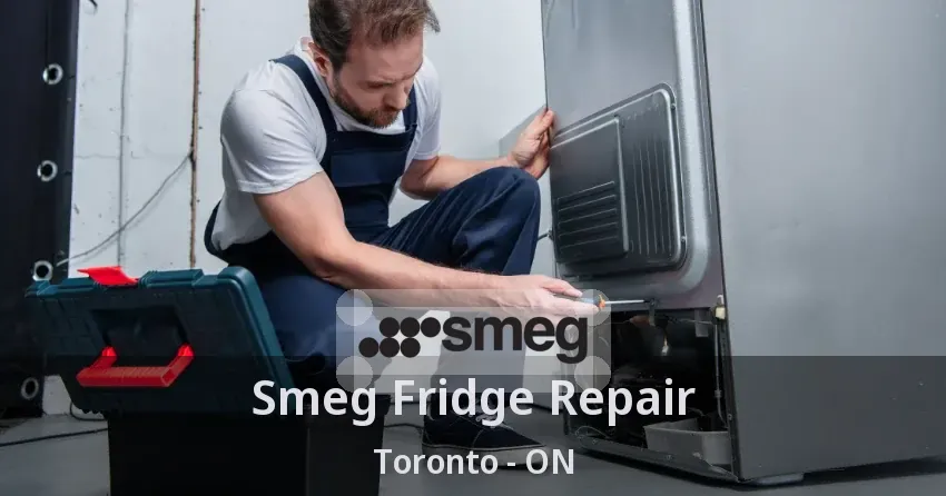 Smeg Fridge Repair Toronto - ON