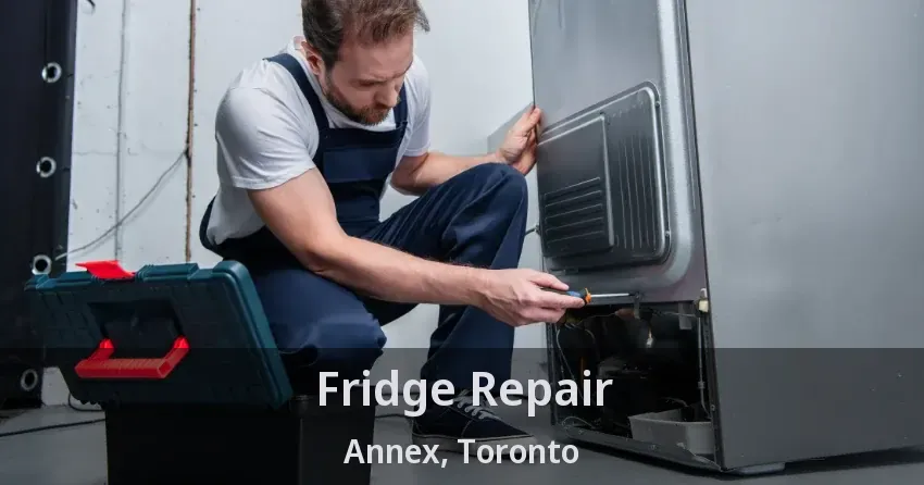 Fridge Repair Annex, Toronto - ON