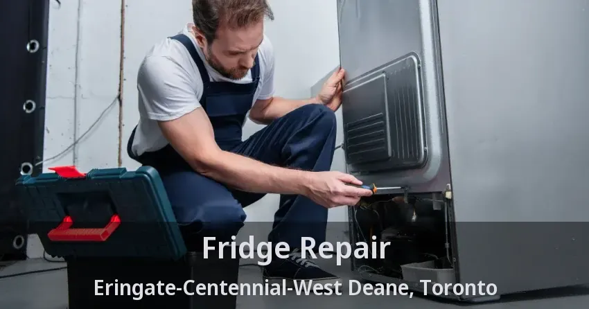 Fridge Repair Eringate-Centennial-West Deane, Toronto - ON
