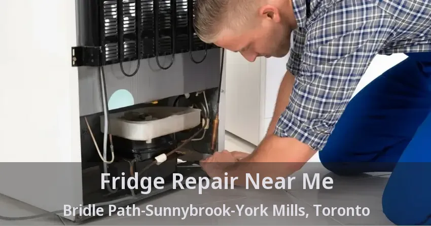 Fridge Repair Near Me Bridle Path-Sunnybrook-York Mills, Toronto - ON