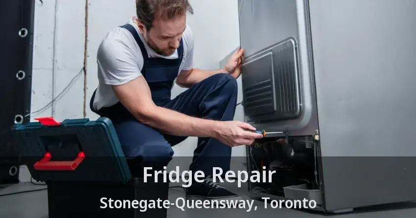 Fridge Repair Stonegate-Queensway, Toronto - ON