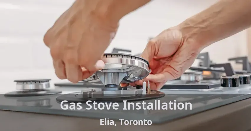 Gas Stove Installation Elia, Toronto - ON