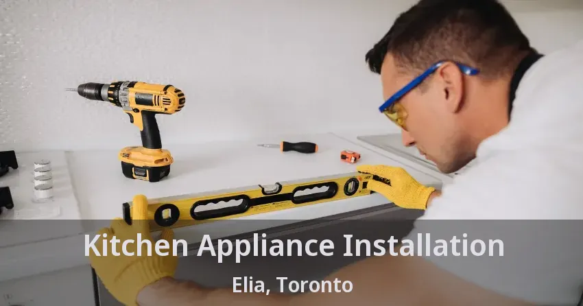 Kitchen Appliance Installation Elia, Toronto - ON
