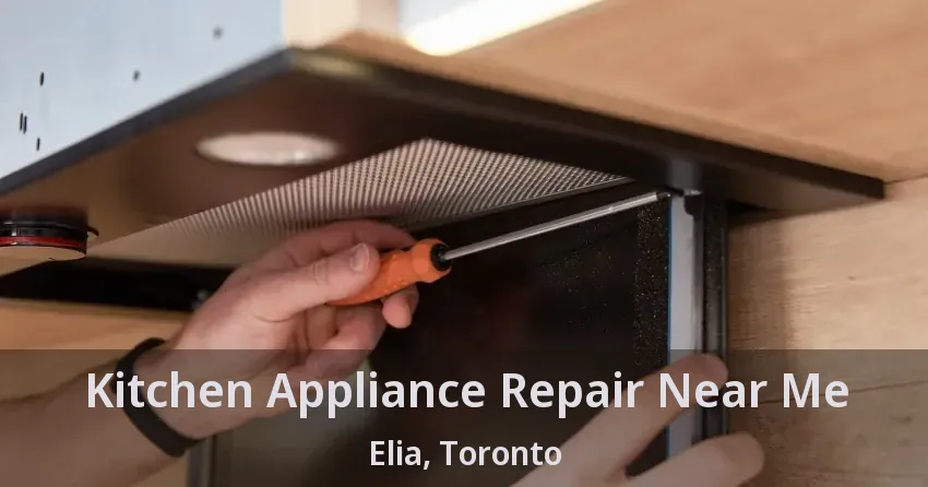 Kitchen Appliance Repair Near Me Elia, Toronto - ON