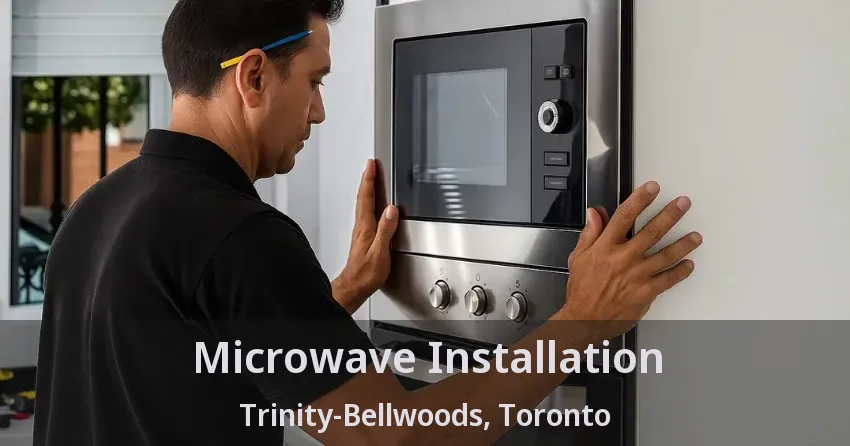 Microwave Installation Trinity-Bellwoods, Toronto - ON