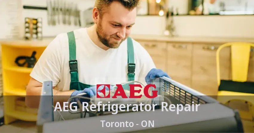 AEG Refrigerator Repair Toronto - ON