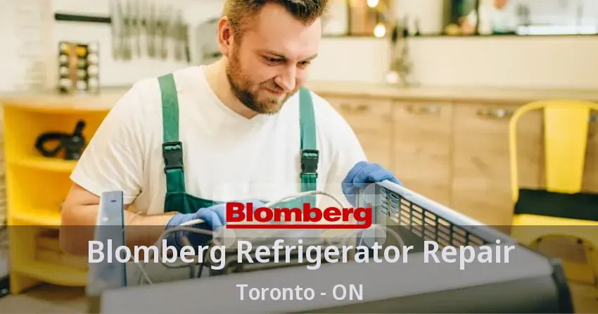 Blomberg Refrigerator Repair Toronto - ON