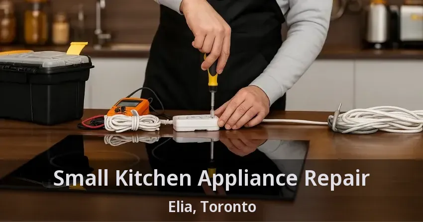 Small Kitchen Appliance Repair Elia, Toronto - ON