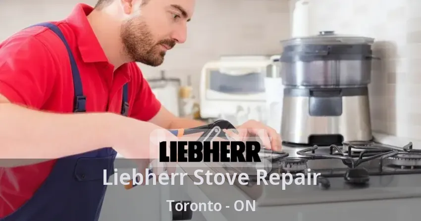 Liebherr Stove Repair Toronto - ON