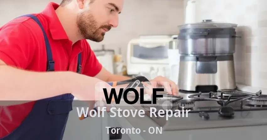 Wolf Stove Repair Toronto - ON